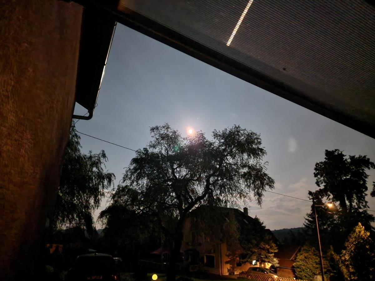 Penzion U Jezevce Hřensko Dış mekan fotoğraf